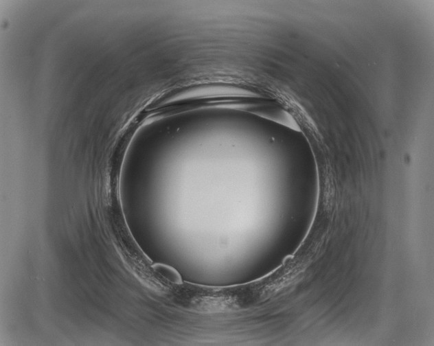 X0000086300251200703301209