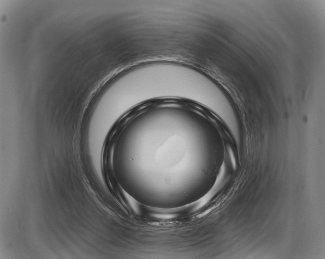 X0000086300252200703301209