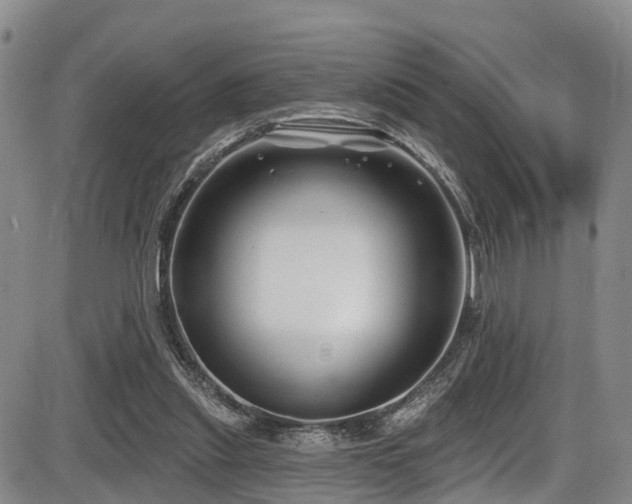 X0000086300253200703301209