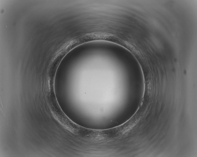 X0000086300254200703301209