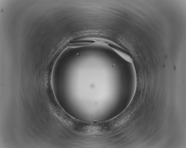 X0000086300255200703301210