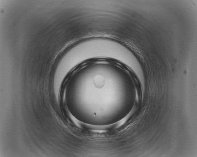 X0000086300256200703301210