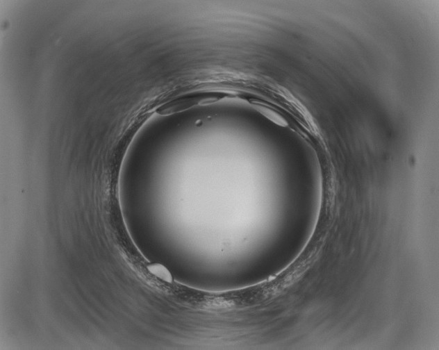 X0000086300257200703301210