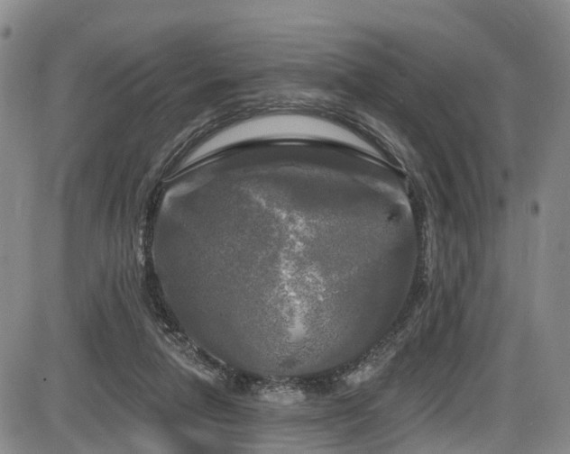 X0000086300258200703301210