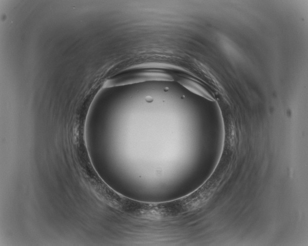 X0000086300259200703301210