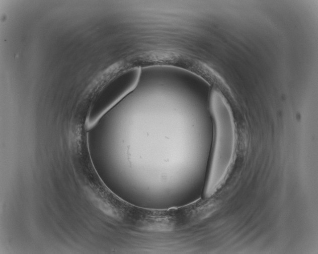 X0000086300260200703301210