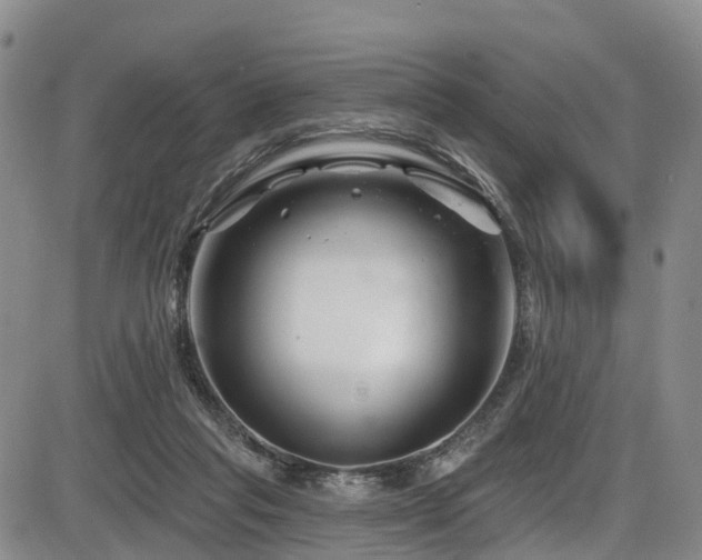 X0000086300261200703301210