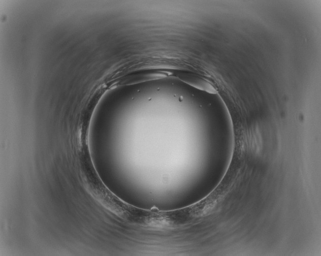 X0000086300262200703301210