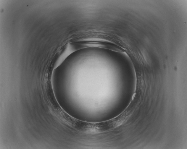 X0000086300263200703301210