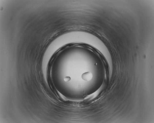 X0000086300264200703301210