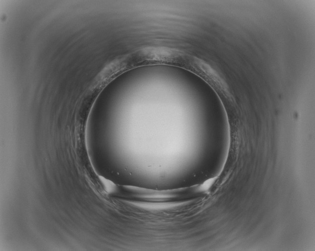 X0000086300265200703301210