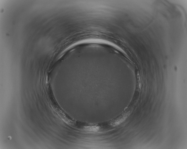 X0000086300266200703301210