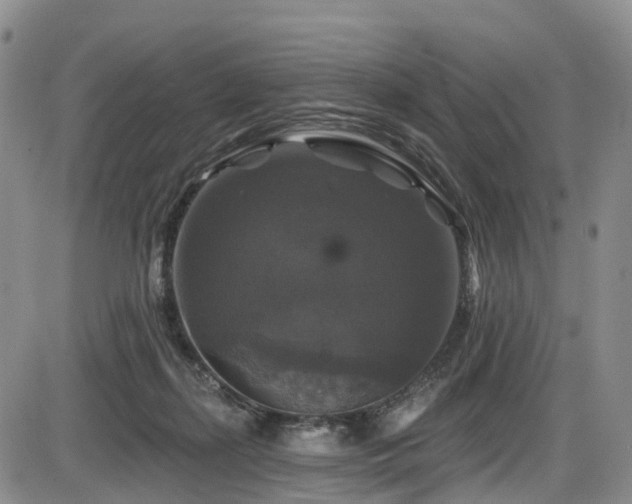 X0000086300267200703301210