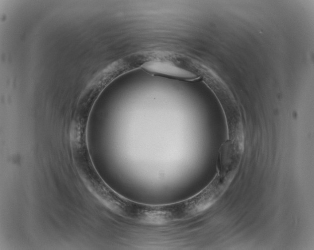 X0000086300268200703301210