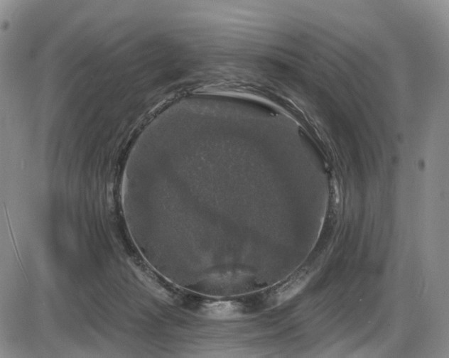 X0000086300269200703301210