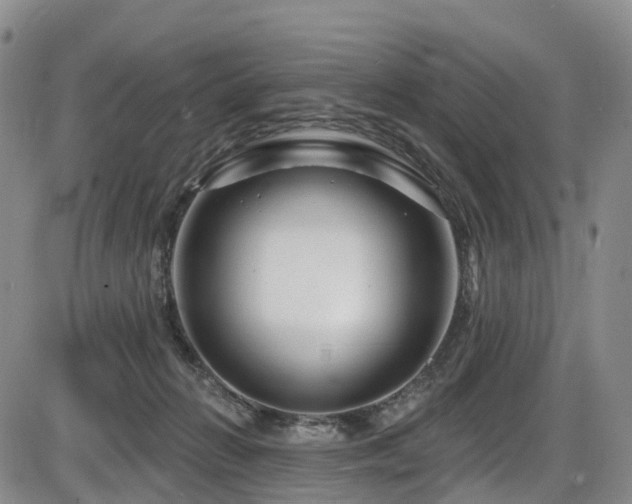 X0000086300270200703301210