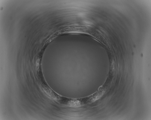 X0000086300271200703301210