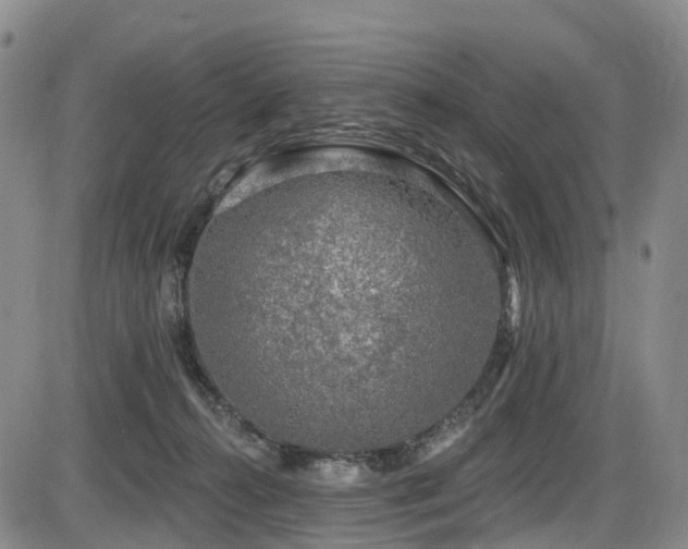 X0000086300272200703301210