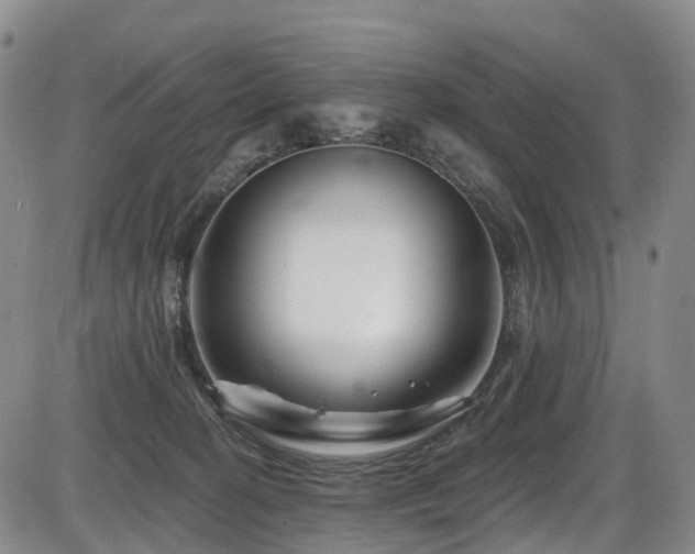 X0000086300274200703301210