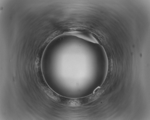 X0000086300275200703301210