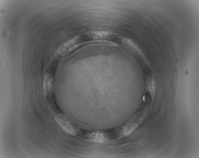 X0000086300276200703301210