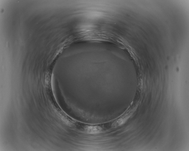 X0000086300277200703301210