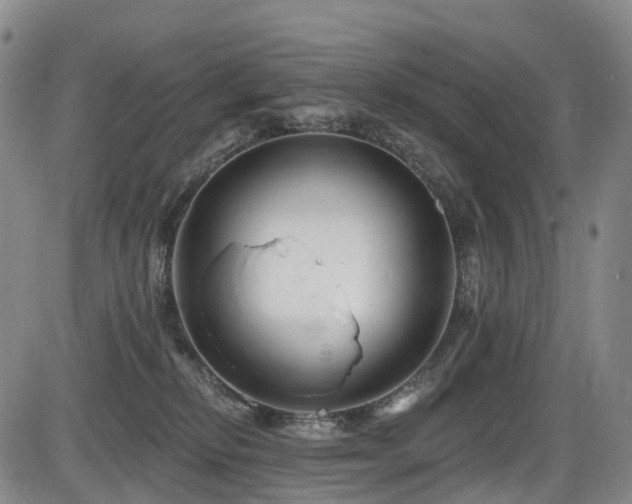 X0000086300278200703301210