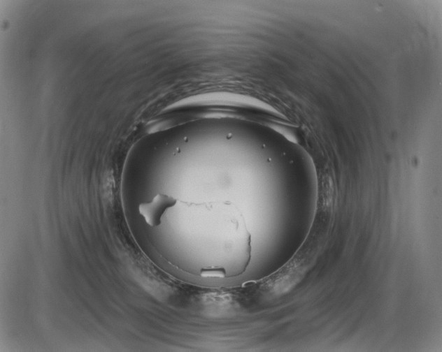 X0000086300279200703301210