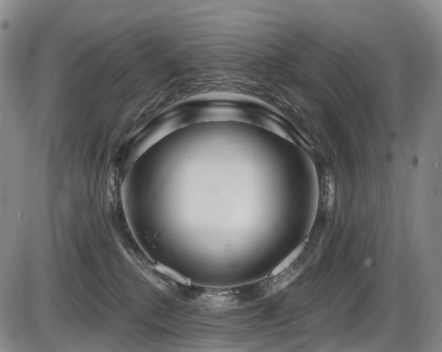 X0000086300280200703301210