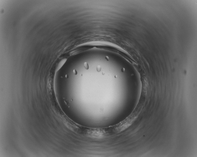 X0000086300282200703301210