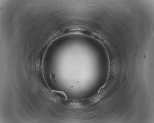 X0000086300283200703301210