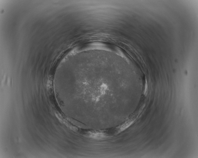 X0000086300284200703301210