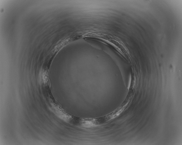 X0000086300285200703301210