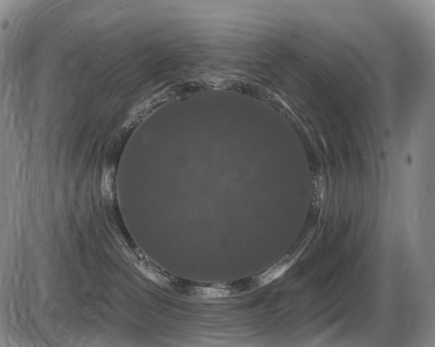 X0000086300286200703301210