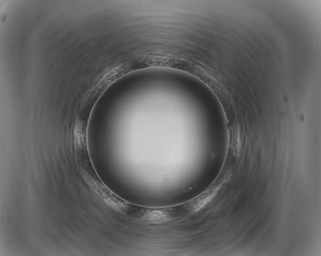 X0000086300287200703301210