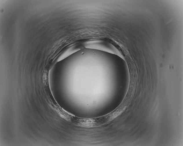 X0000086300288200703301210