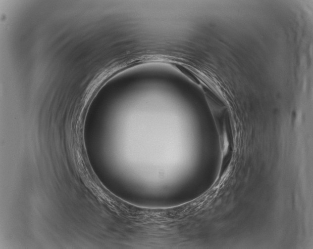 X0000086300289200703301209