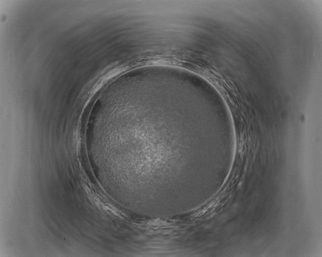 X0000086300290200703301209