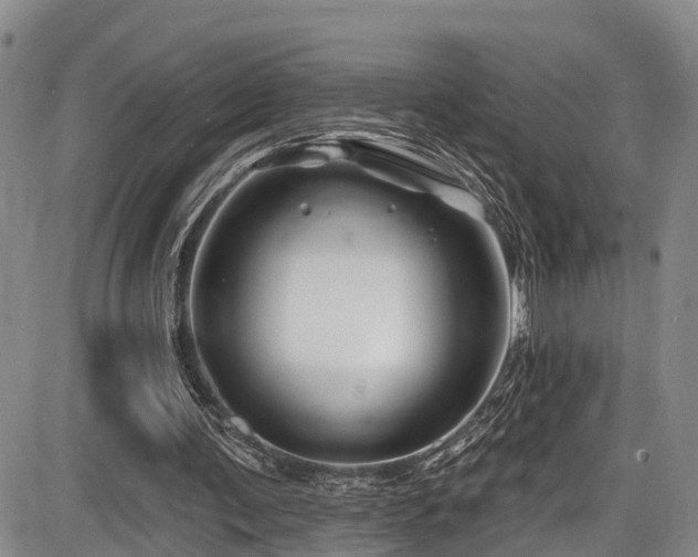 X0000086300291200703301209