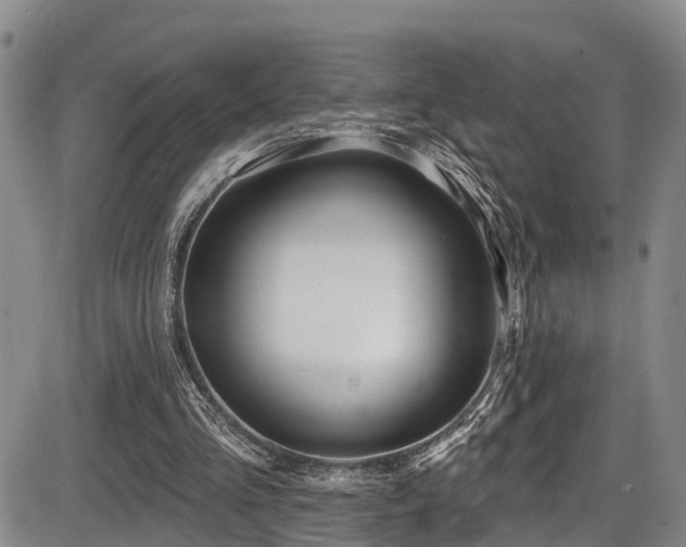 X0000086300293200703301209