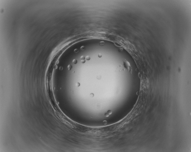 X0000086300294200703301209