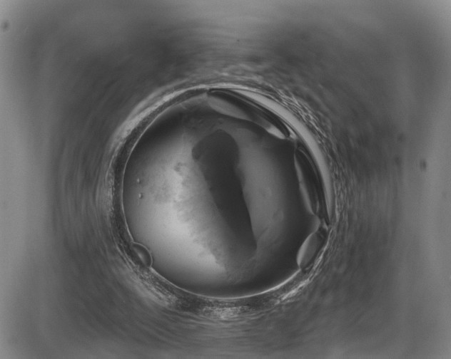 X0000086300295200703301209