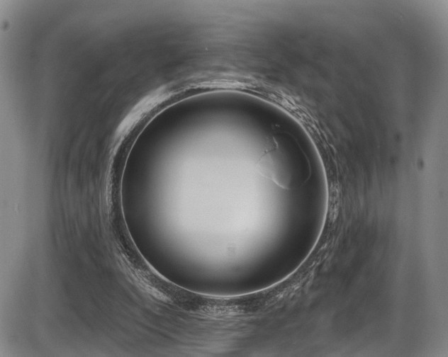 X0000086300296200703301209