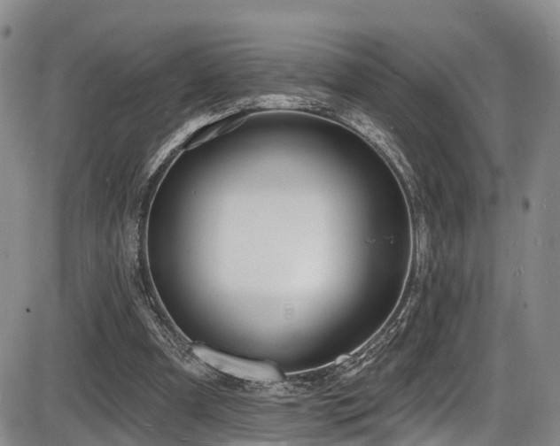 X0000086300297200703301209