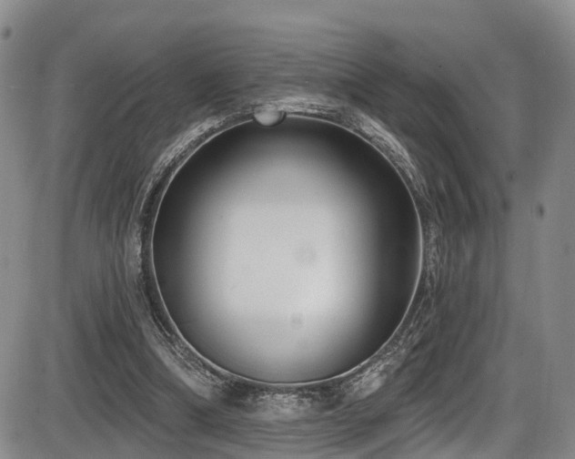 X0000086300298200703301209