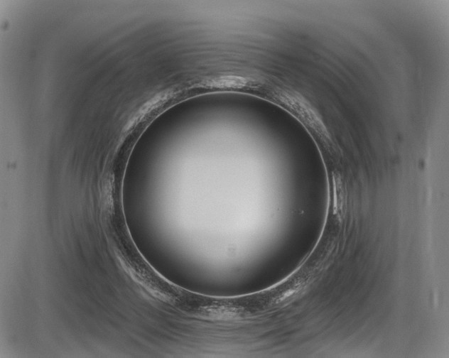 X0000086300300200703301209