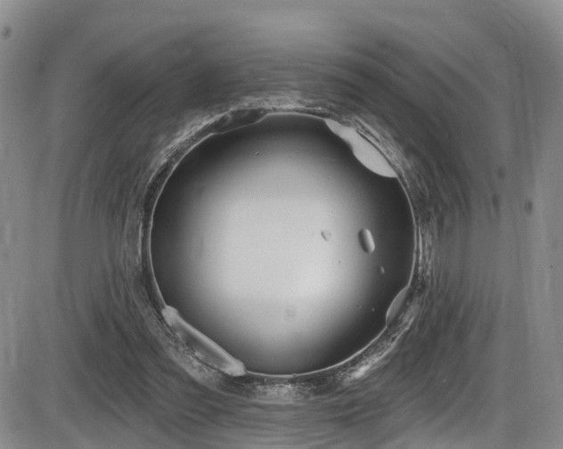 X0000086300301200703301209