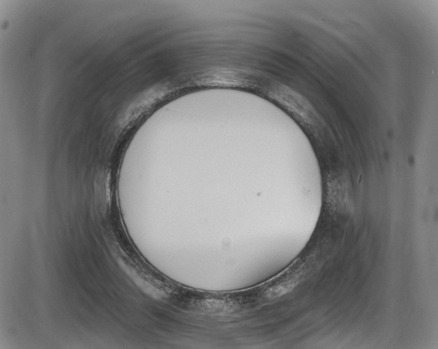 X0000086300302200703301209