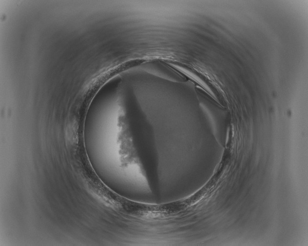 X0000086300303200703301209