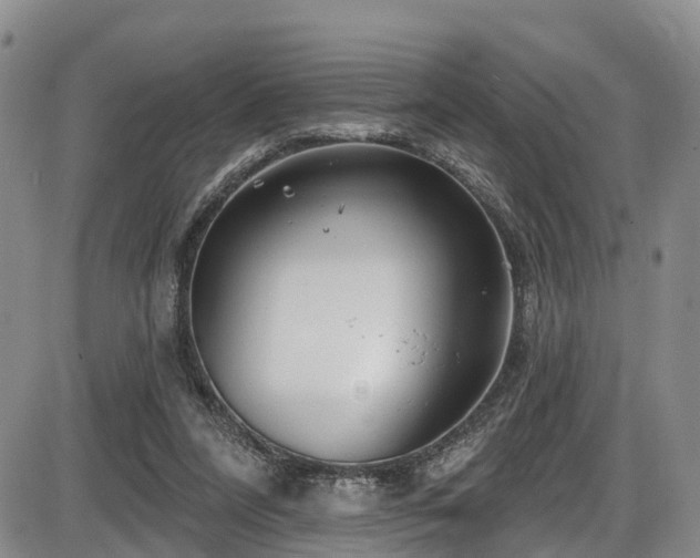 X0000086300304200703301209